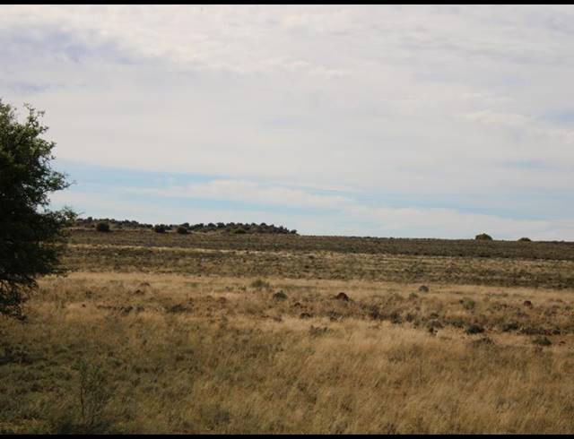 31HA FARM FOR SALE IN MIDDELBURG RURAL